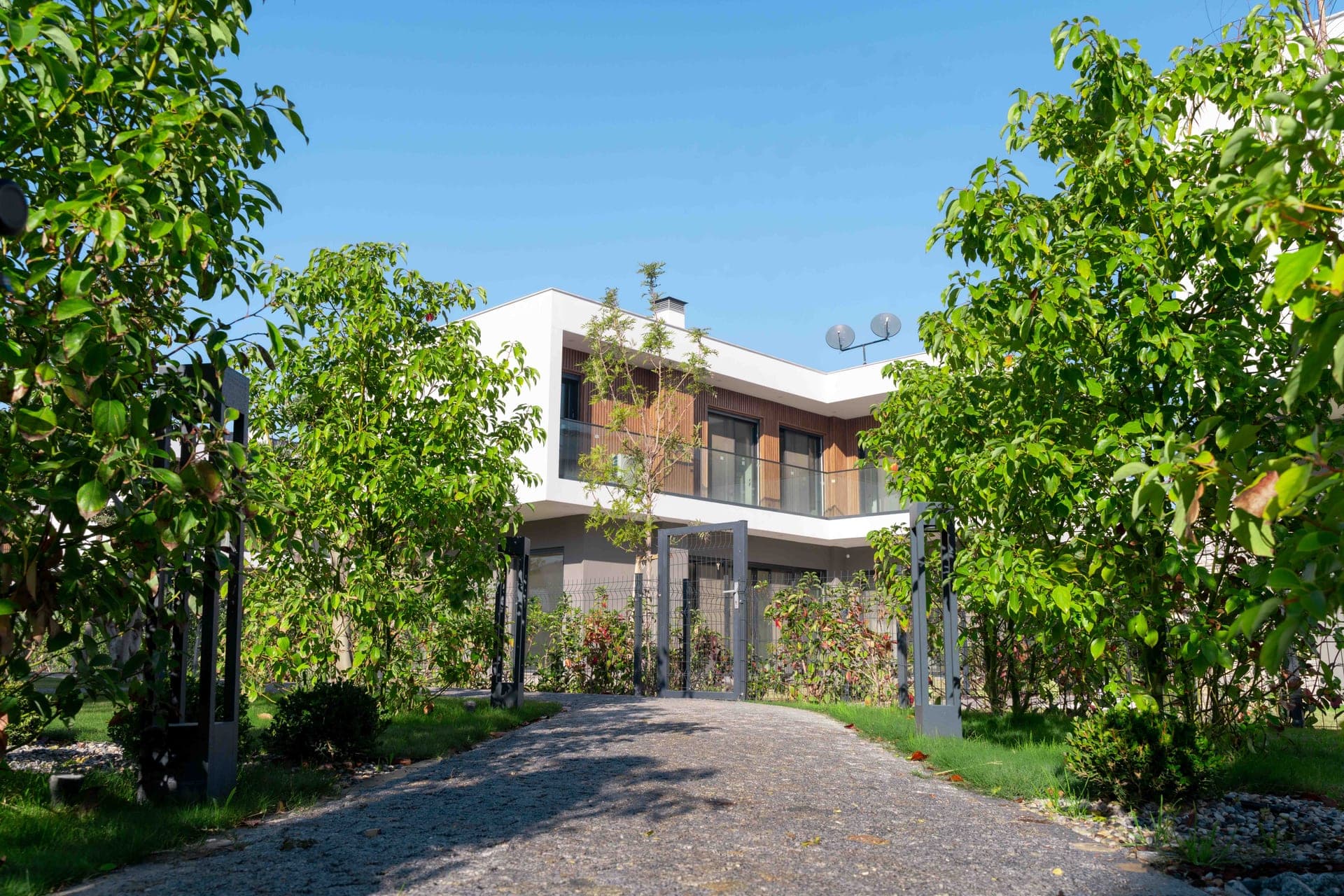 Home Sasalı — 2
