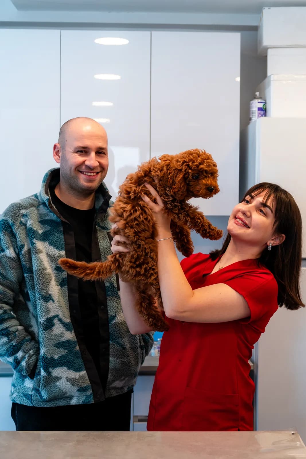 Vetcom — 5
