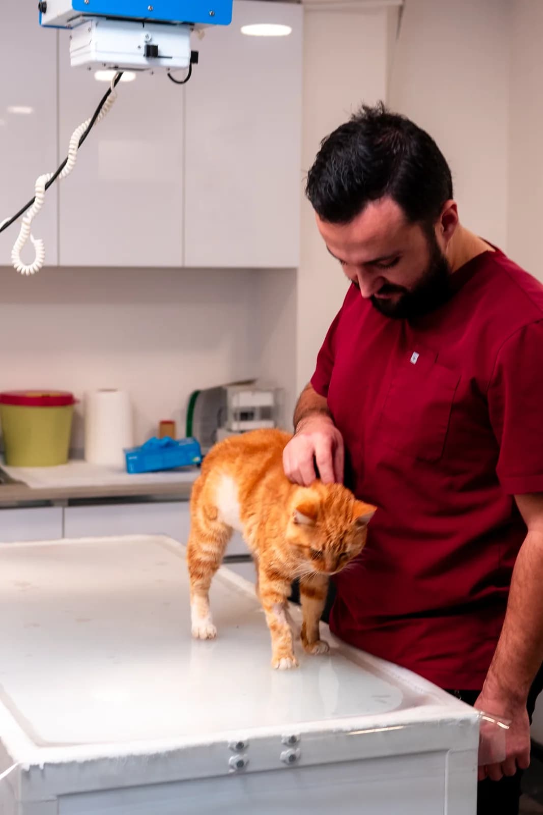 Vetcom — 8